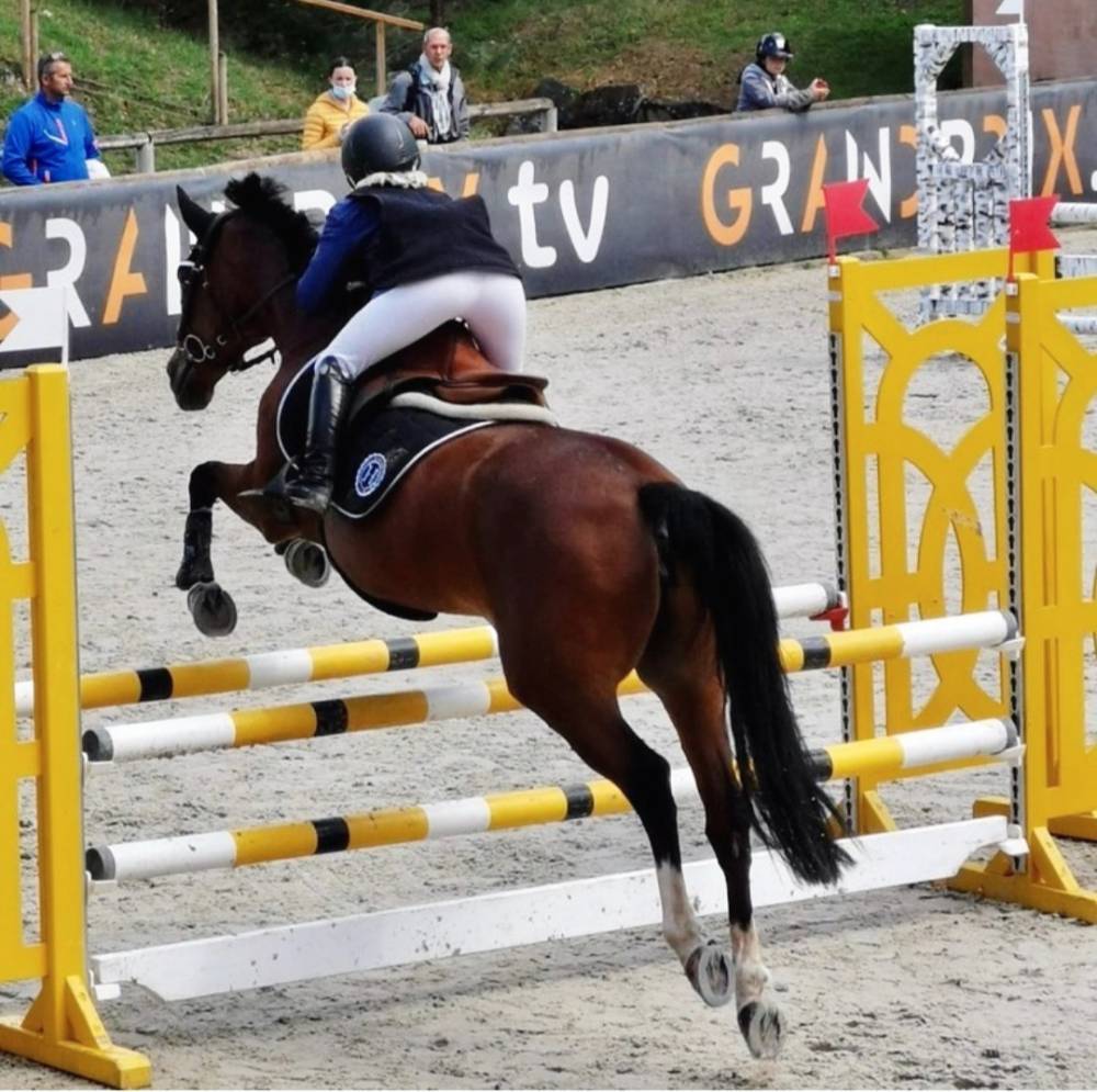concours de saut d'obstacles