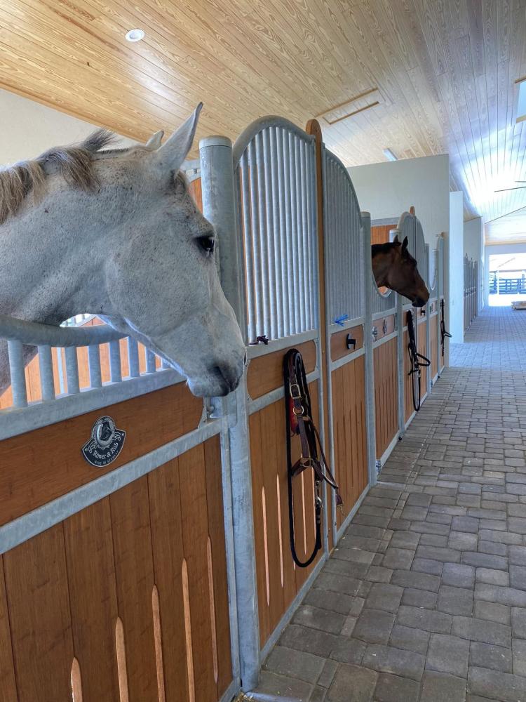 pension pour chevaux à Vitrac