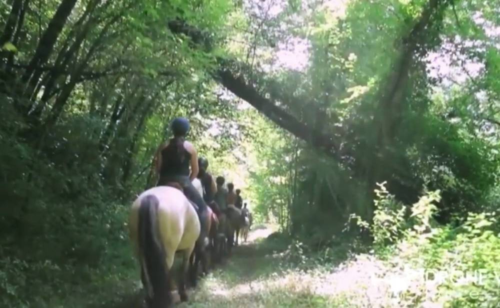promenade et leçon d'équitation (1)