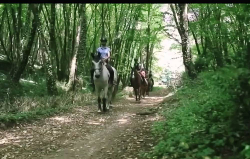 randonnée poney à Vitrac