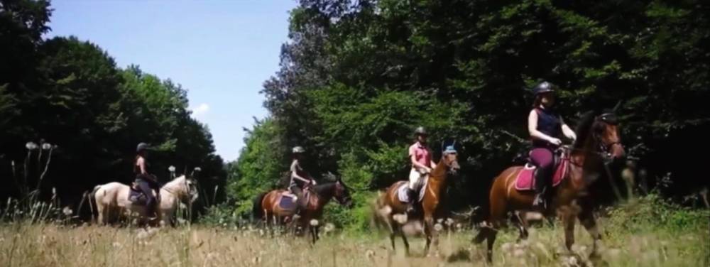 promenade et leçon d'équitation (5)