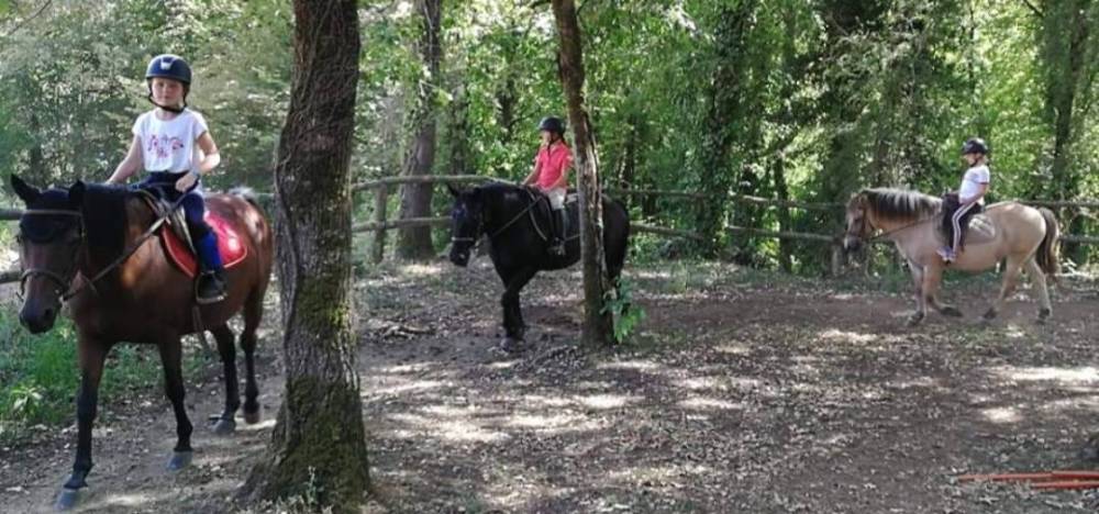 promenade et leçon d'équitation (6)