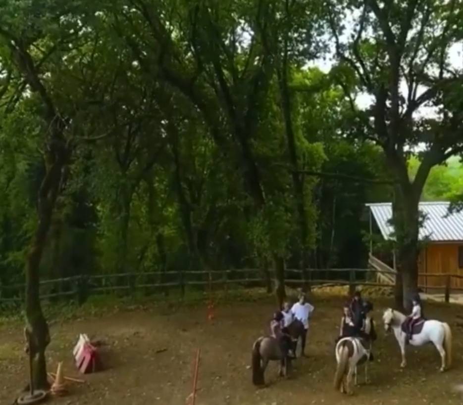 cours d'équitation à Vitrac