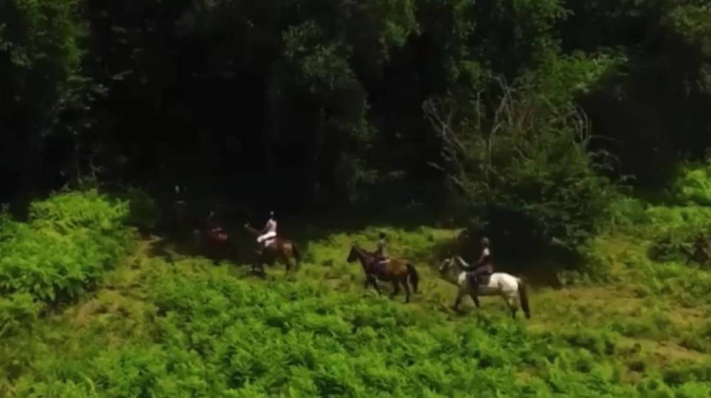 promenade et leçon d'équitation (15)