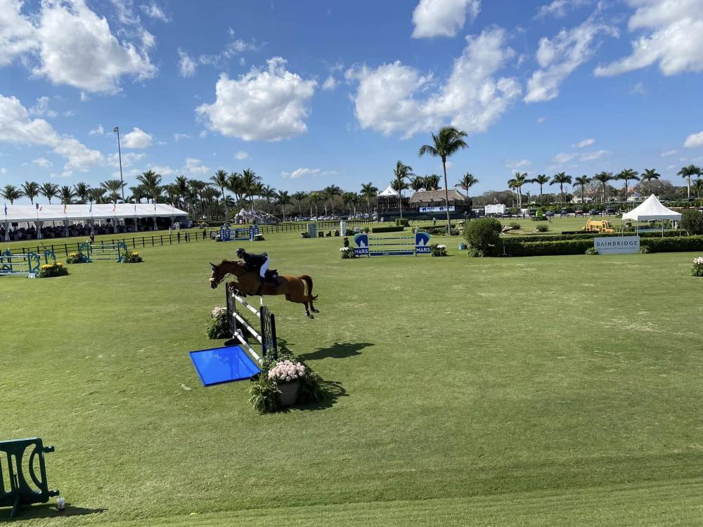 concours hippique à Vitrac