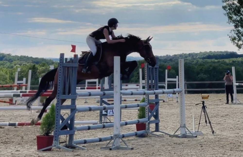 saut d'obstacles (2)