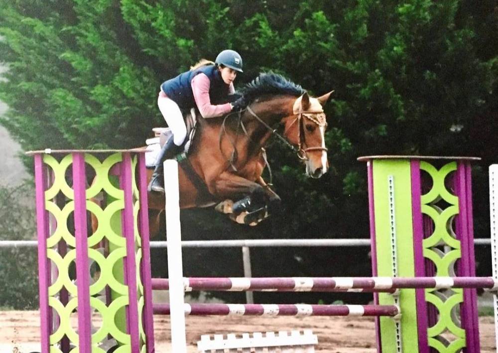 saut d'obstacles (3)