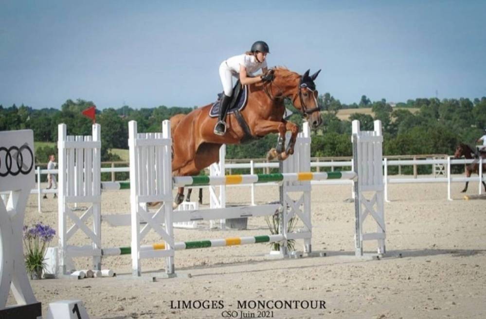 saut d'obstacles (4)