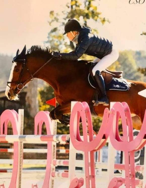 saut d'obstacles (8)