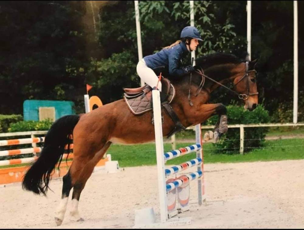 saut d'obstacles (10)