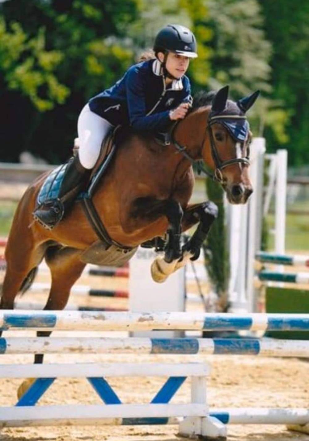 saut d'obstacles (11)
