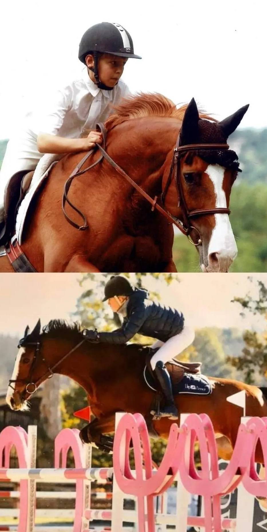 saut d'obstacles (12)