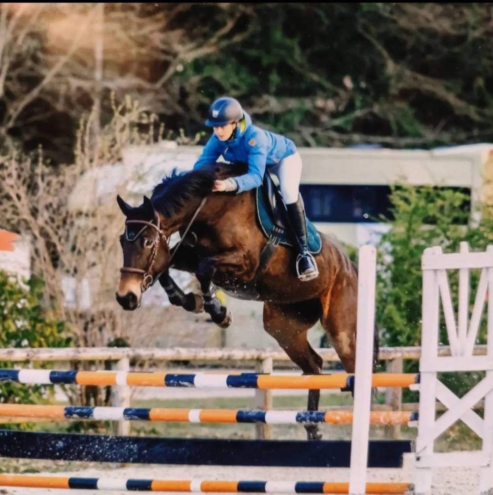 saut d'obstacles (13)