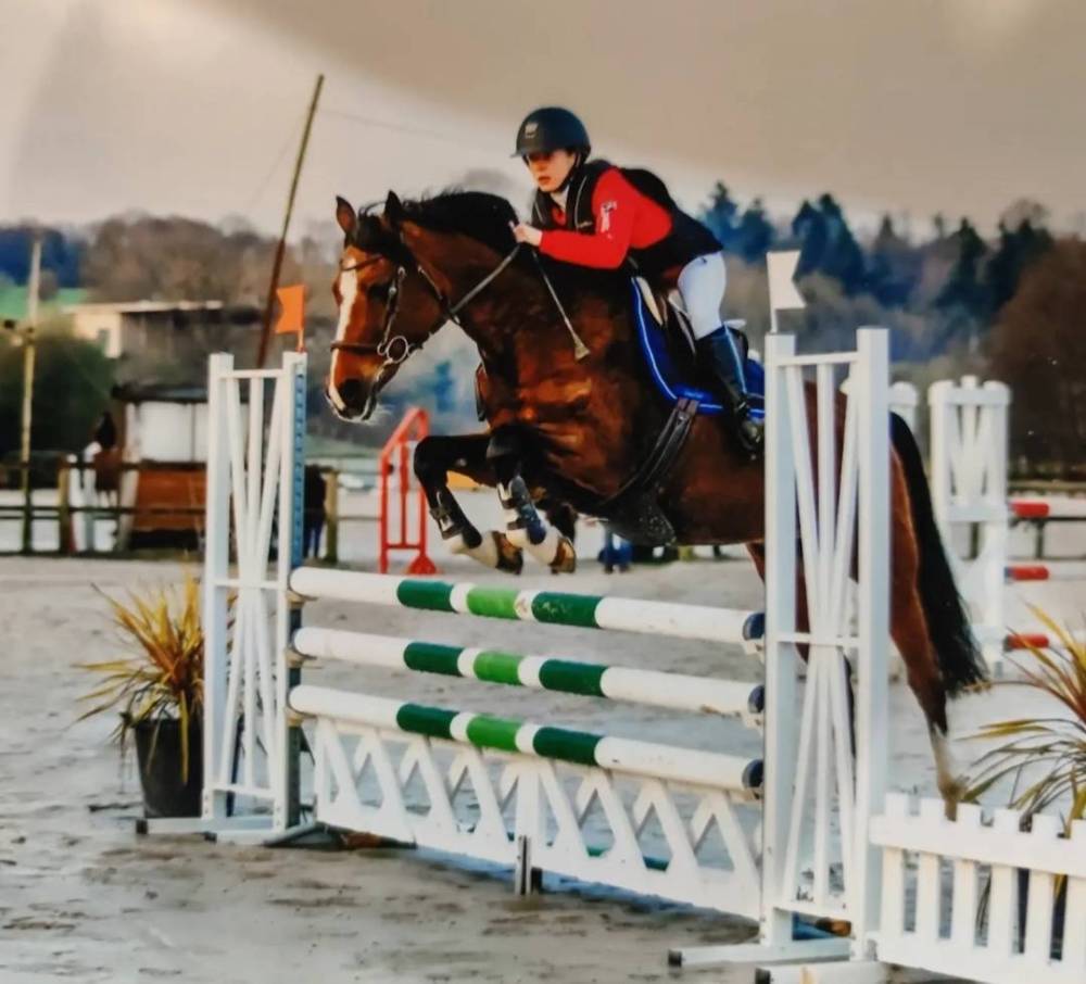 saut d'obstacles (14)