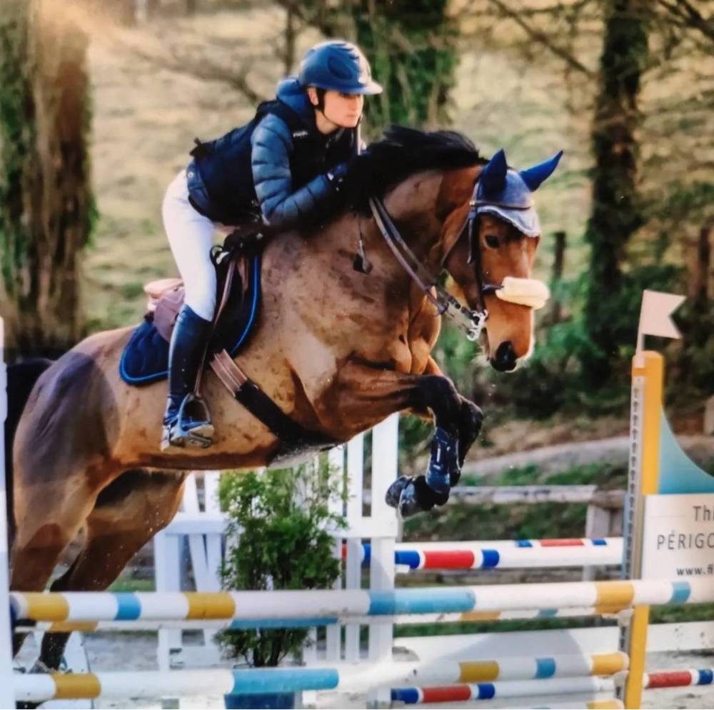 saut d'obstacles (15)