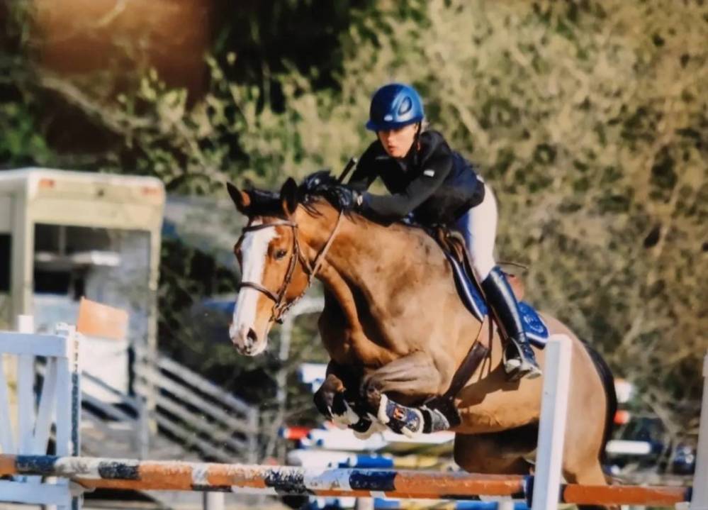saut d'obstacles (16)